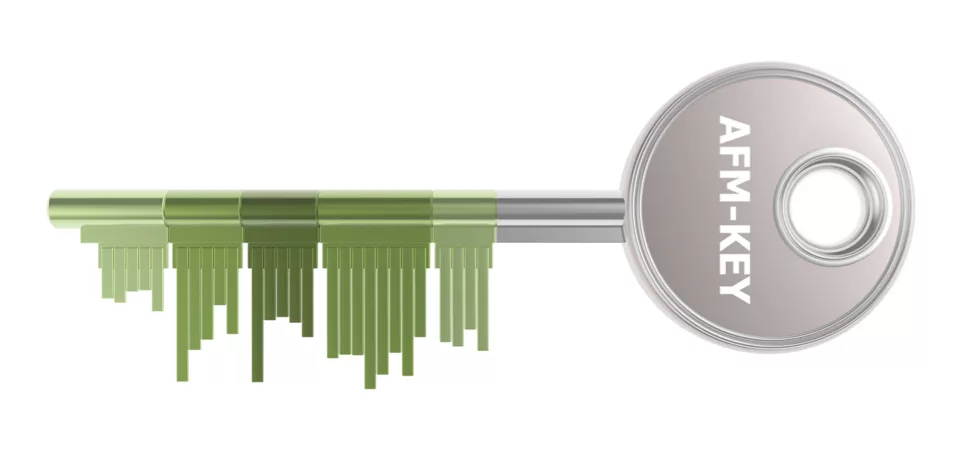 slider_schluessel_lang.jpg AFM Schlüssel